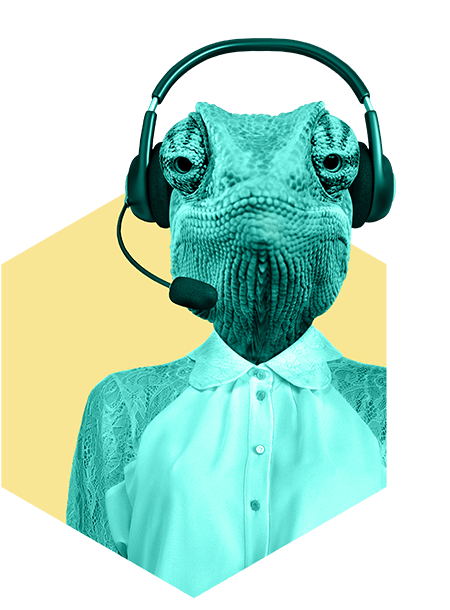 Rodkjærs kamæleon som kan planlægger hver en detalje af dit event