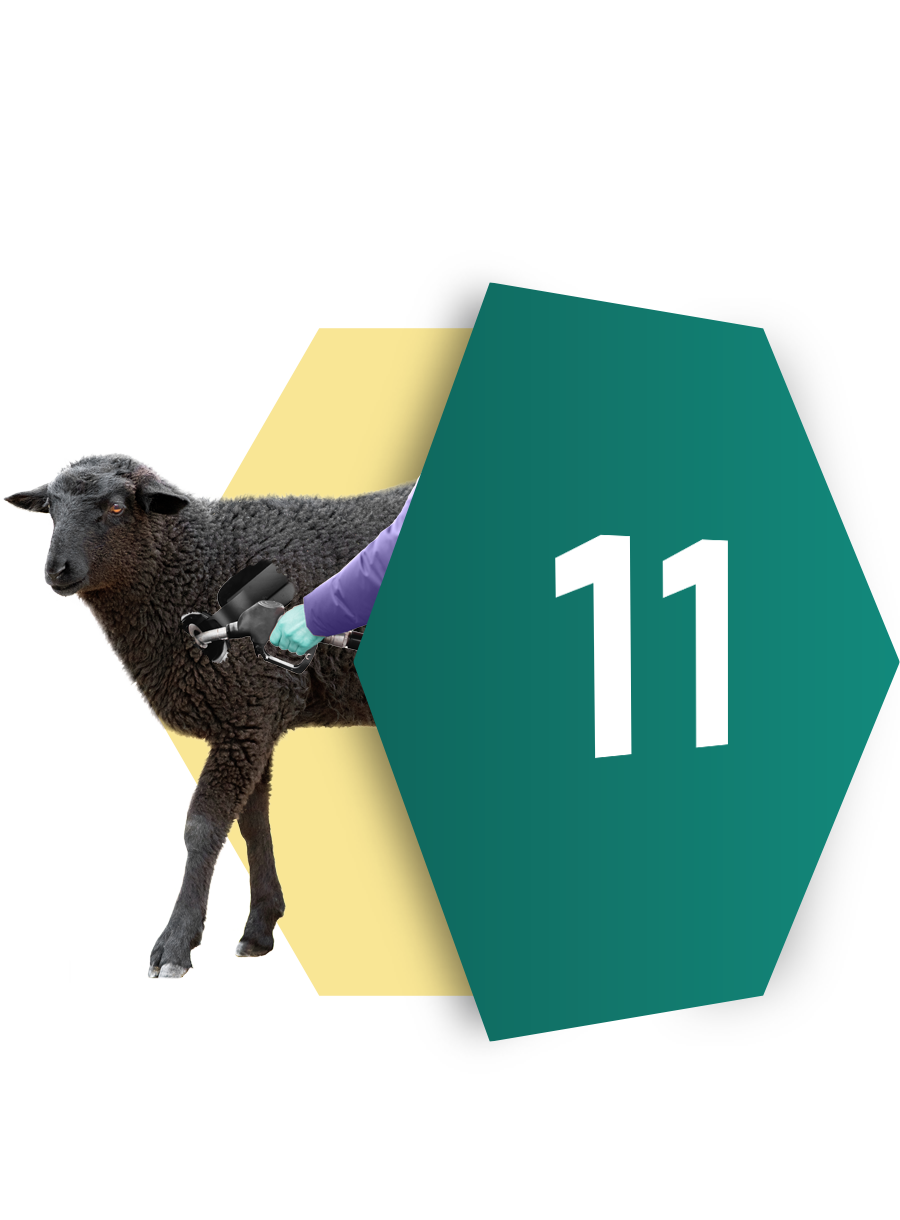 Diesel – det sorte får!